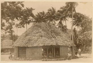 South Pacific Island Hut