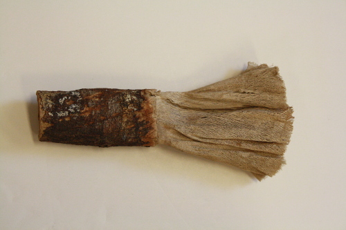 Lace bark whip
