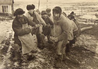 Men Pulling Logs Up A Hillside