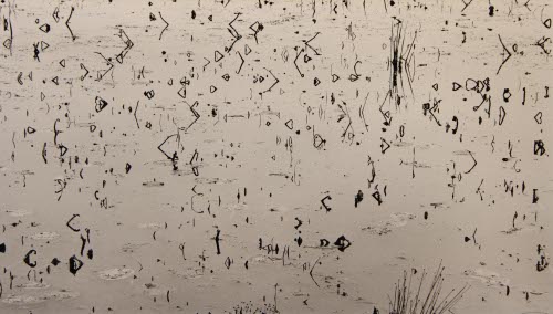 Pond, Richmond, VT., 1981