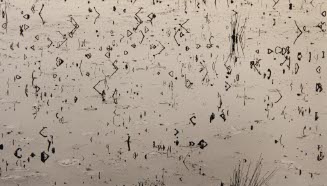 Pond, Richmond, VT., 1981