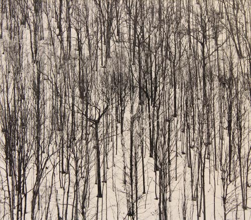 Hillside, Charlotte, VT