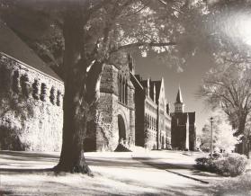 Billings, Williams, Old Mill