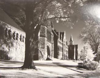 Billings, Williams, Old Mill