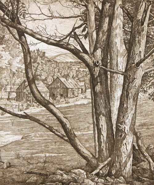 Tree Rhythm