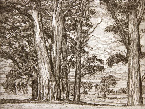 Lake Through the Locusts, Christmas Card