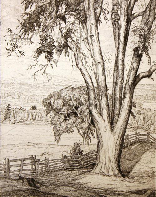 Elms and Hill, Christmas Card