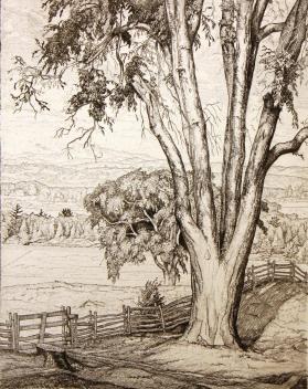 Elms and Hill, Christmas Card