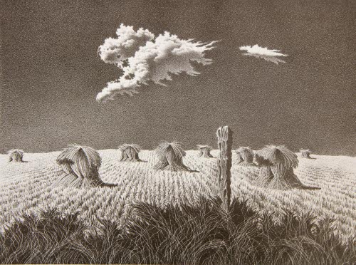 Wheat Shocks