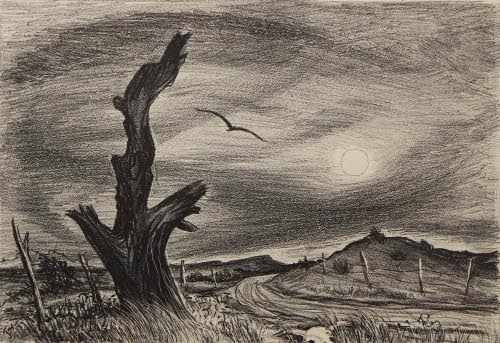 Winter Sun