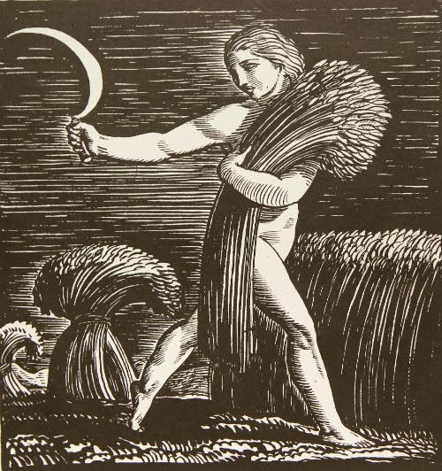 The Harvest