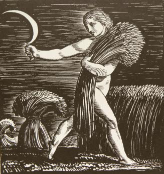 The Harvest