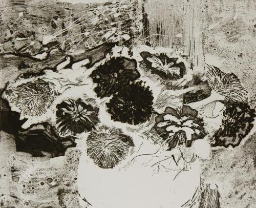 Chrysanthemums