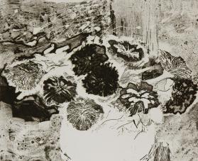 Chrysanthemums