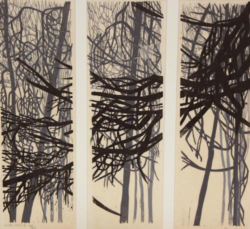 Winter Woods