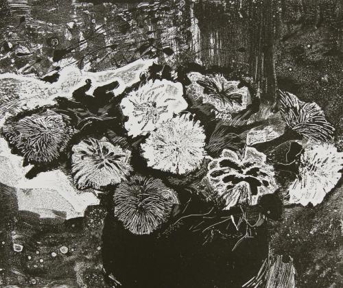 Chrysanthemums