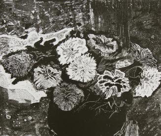 Chrysanthemums