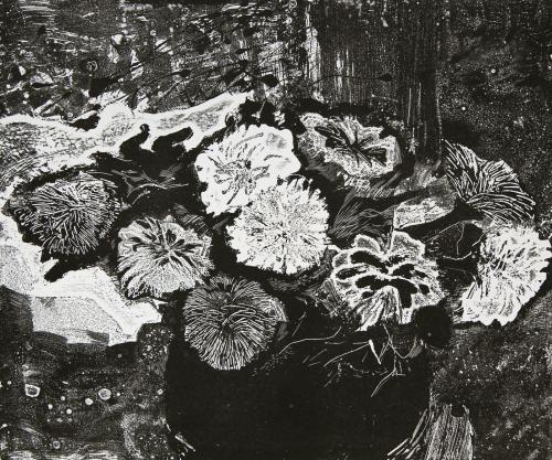 Chrysanthemums