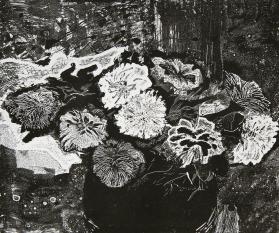 Chrysanthemums
