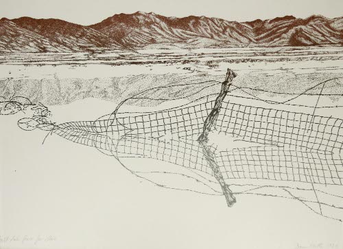 Salt Lake Fence