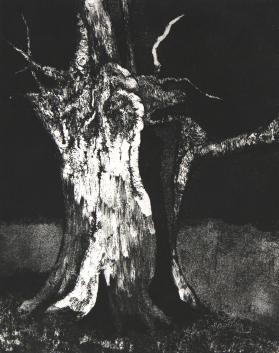 Elm