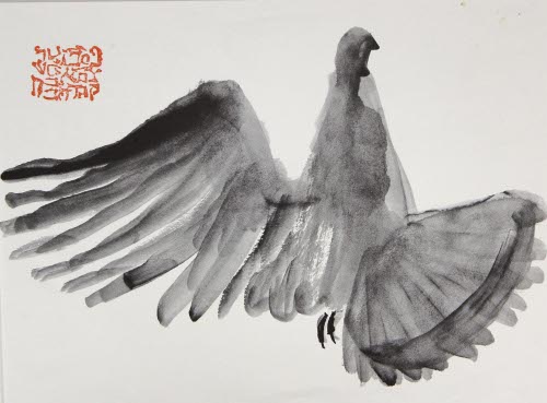 Dove