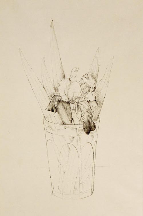 Vase Of Iris