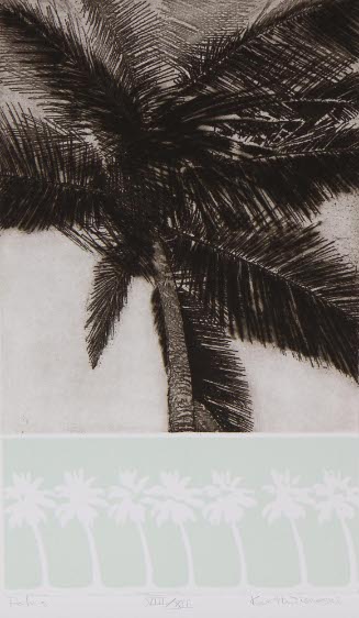 Palms