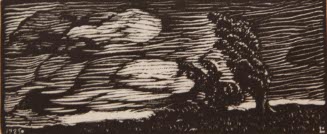 The Wind