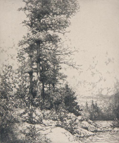 Island Pines No. 1
