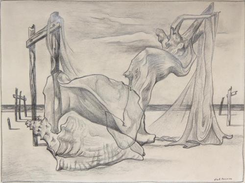 Drawing (conch shell)