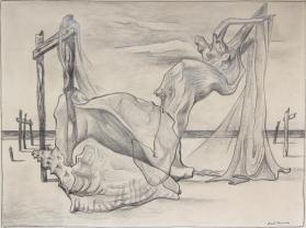 Drawing (conch shell)