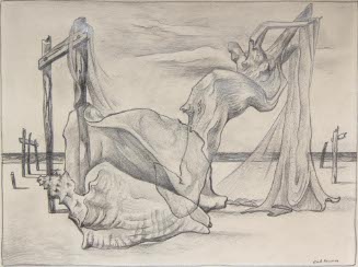 Drawing (conch shell)