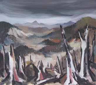 Tillimuk Burn