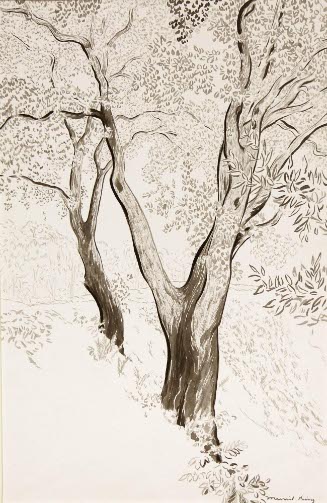 Trees