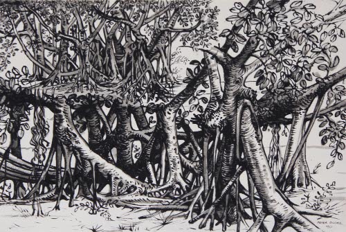 Banyan Tree house