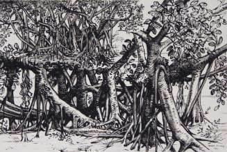 Banyan Tree house