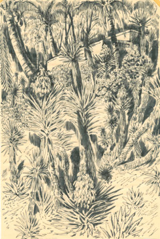 The Yucca Patch