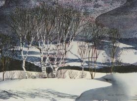 Birches in Winter