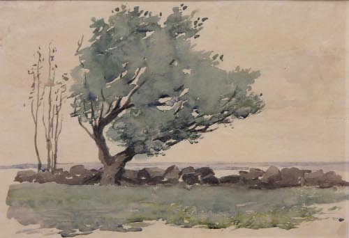 Tree...stone wall