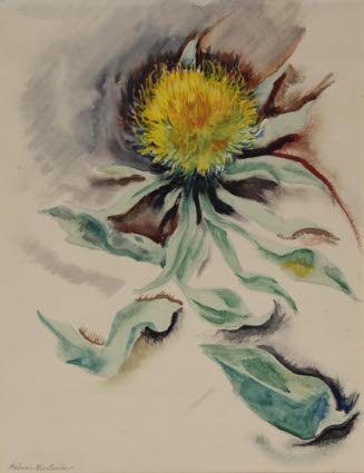 Yellow Flower