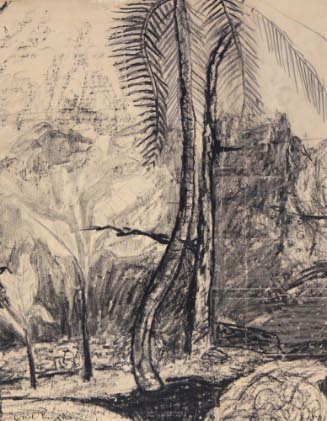 Palms