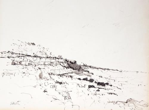 End of the Island, Cranberry