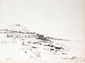 End of the Island, Cranberry