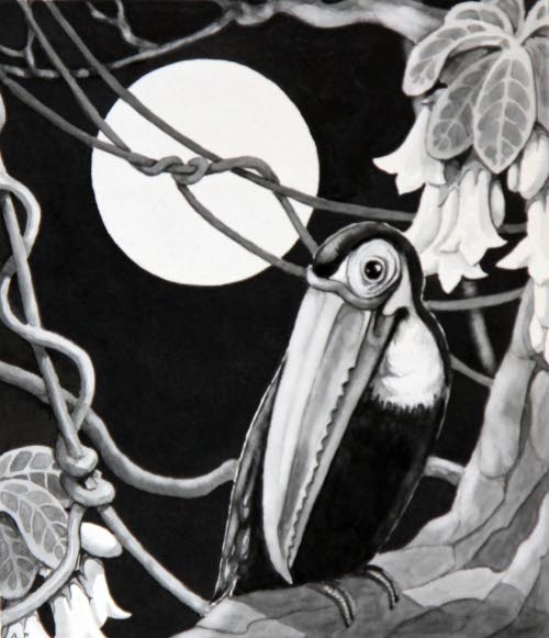 The Toucan Stopped Drumming; Floating Island