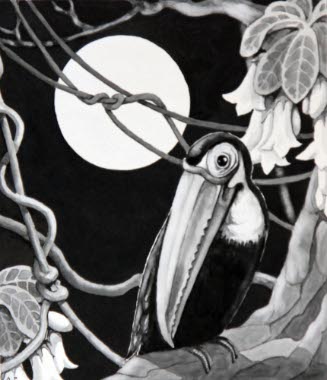 The Toucan Stopped Drumming; Floating Island