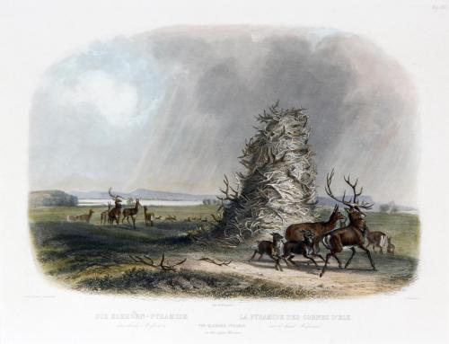 The Elkhorn Pyramid