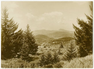 [CAMEL'S HUMP]