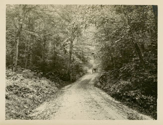 [BUGGY ON COUNTRY ROAD]