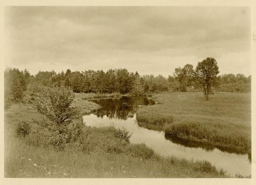 [Meadow with pond]